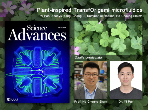 The paper “Plant-inspired TransfOrigami microfluidics” has been featured on the cover of Science Advances for May 6 2022 issue. The research team (from left) Professor Anderson H.C. Shum and Dr Yi Pan from the Department of Mechanical Engineering, HKU. The background image is Oxalis corniculata.